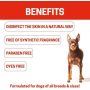 Red - All-Natural Dog Shampoo (5 Treatment Options Available) - 16 oz