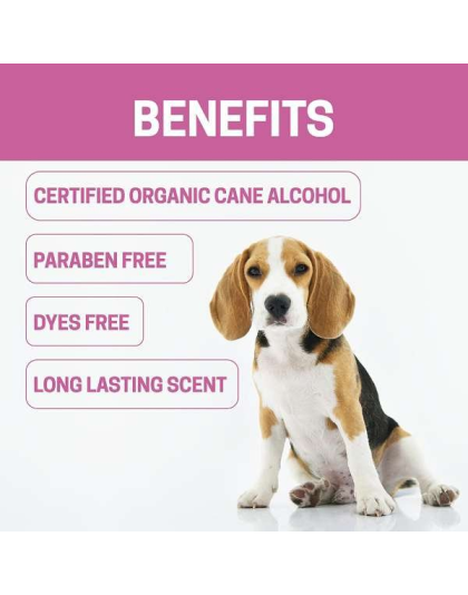 Pink - All-Natural Dog Cologne - 8 oz