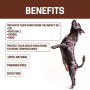 Brown - All-Natural Dog Paw Balm 0.15 oz - 0.15 oz