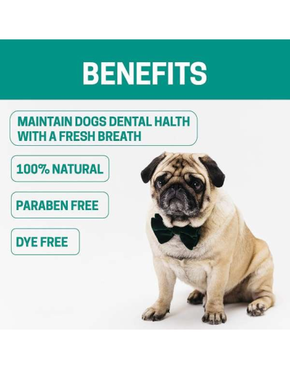 Green - All-Natural Dog Dental Freshener 8 oz - 8 oz