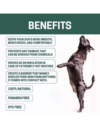 Green - All-Natural Dog Nose Balm 1.65 oz - 1.65 oz