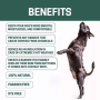 Green - All-Natural Dog Nose Balm 1.65 oz - 1.65 oz