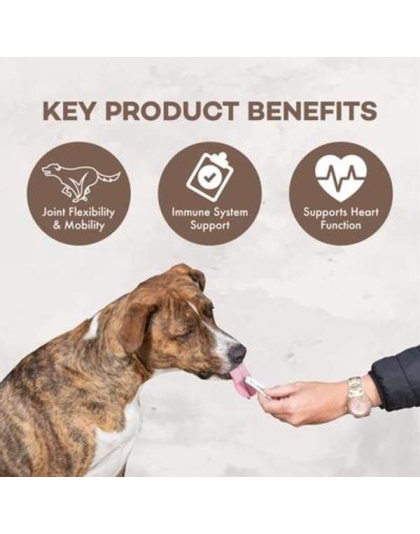 Coromega Pup Packets Omega-3 Joint & Muscle Mobility Support - 30 Pieces