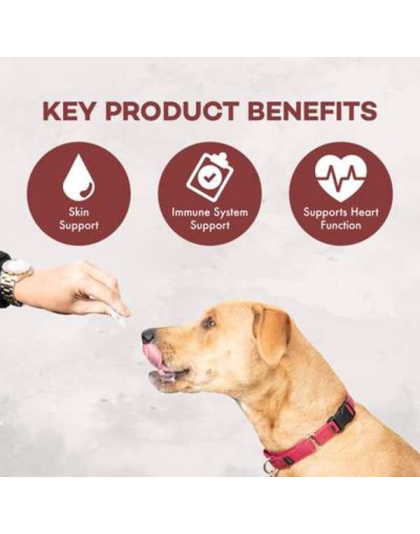 Coromega Pup Packets Omega-3 Skin & Immune Support - 30 Pieces