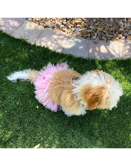 Pink - Pink Pom Pom Dog Tutu Skirt (XXL) - XXL
