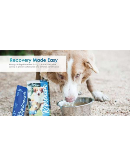 Brown - Replenish Dog Water Supplement (10 pack) - 15g/packet