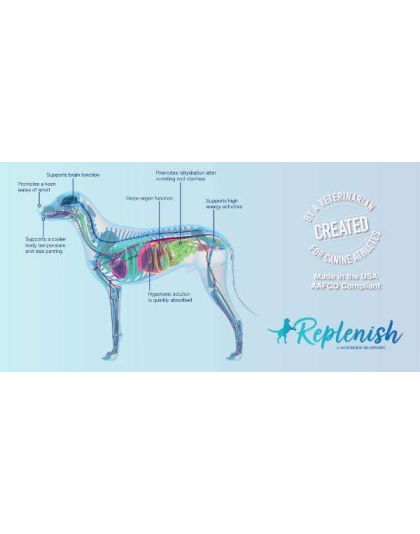 Brown - Replenish Dog Water Supplement (10 pack) - 15g/packet