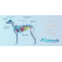 Brown - Replenish Dog Water Supplement (10 pack) - 15g/packet