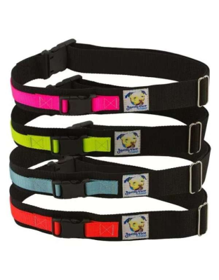 Neon Yellow - Hands Free Dog Leash Belt - Small-Medium