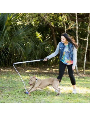 Purple - Flirt Pole V2 Dog Toy with Lure - Regular