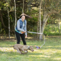 Purple - Flirt Pole V2 Dog Toy with Lure - Regular