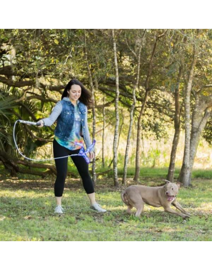 Purple - Flirt Pole V2 Dog Toy with Lure - Jr