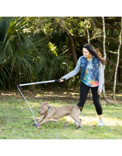 Rainbow Tie Dye - Flirt Pole V2 Dog Toy with Lure - Regular
