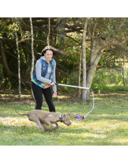 Tie Dye - Flirt Pole V2 Dog Toy with Lure - Regular