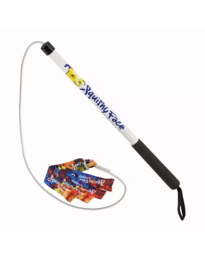 Rainbow Tie Dye - Flirt Pole V2 Dog Toy with Lure - Jr