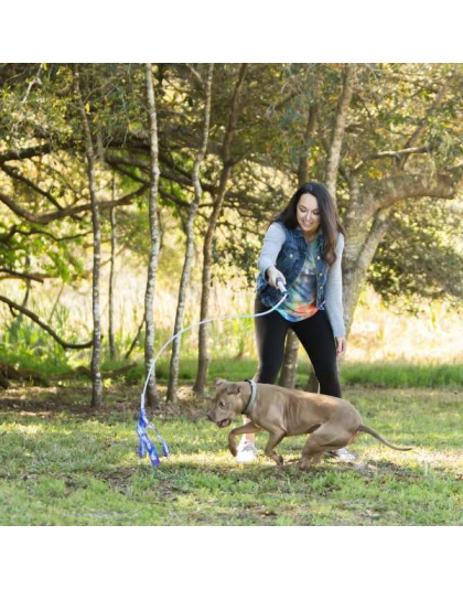 Rainbow Tie Dye - Flirt Pole V2 Dog Toy with Lure - Jr