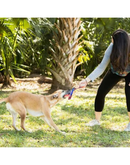 Rainbow Tie Dye - Tug Dog Toy