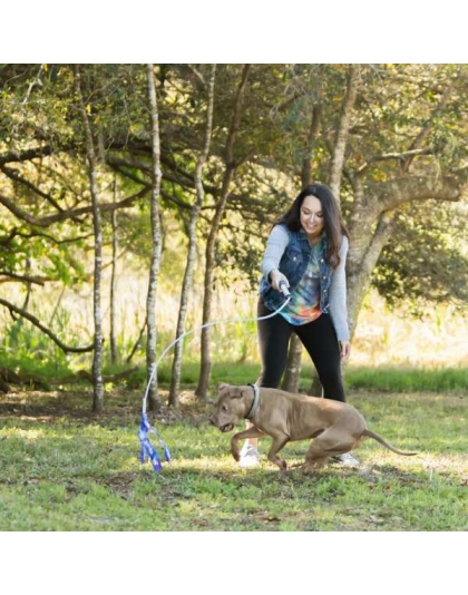 Tie Dye - Flirt Pole V2 Dog Toy with Lure - Jr