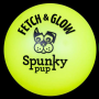 Fetch & Glow Ball - Medium