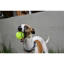 Fetch & Glow Ball - Medium