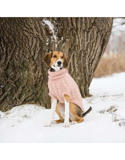 Pink - GF Pet Chalet Dog Sweater  - XS