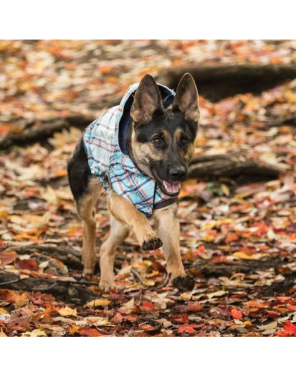 Navy - GF Pet Reversible ElastoFit Raincoat  - XL