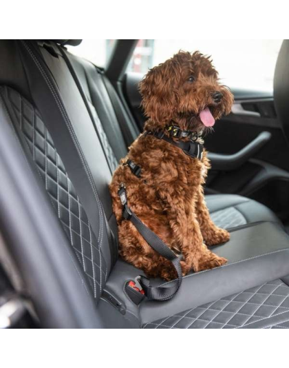 Black - GF Pet  Pet Seat Belt Tether  Black - Adjustable Length 20"-30"