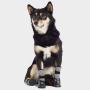 Grey - GF Pet Dog Booties  Grey   - 2XL