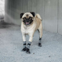 Grey - GF Pet Dog Booties  Grey   - 2XL