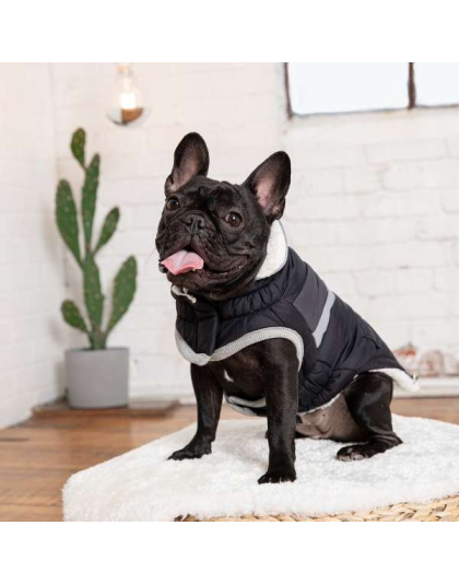 Black - GF Pet  Alpine Puffer - 2XL