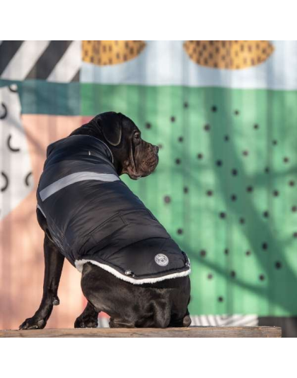 Black - GF Pet  Alpine Puffer - 2XL