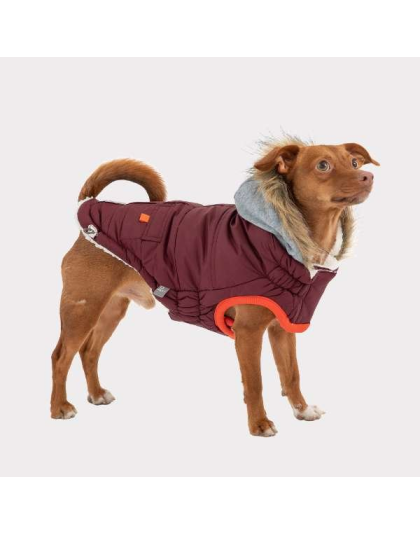 Burgundy - GF Pet  Winter Sailor Parka  - 4XL