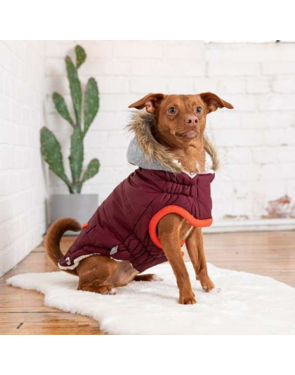 Burgundy - GF Pet  Winter Sailor Parka  - 4XL