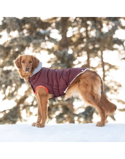 Burgundy - GF Pet  Winter Sailor Parka  - 4XL