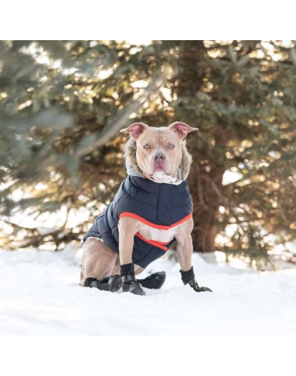Navy - GF Pet  Winter Sailor Parka  - 4XL