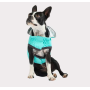 Neon Aqua - GF Pet Reversible Raincoat  - Small