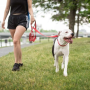 Red - GF Pet  Reflective Leash - XS/Small
