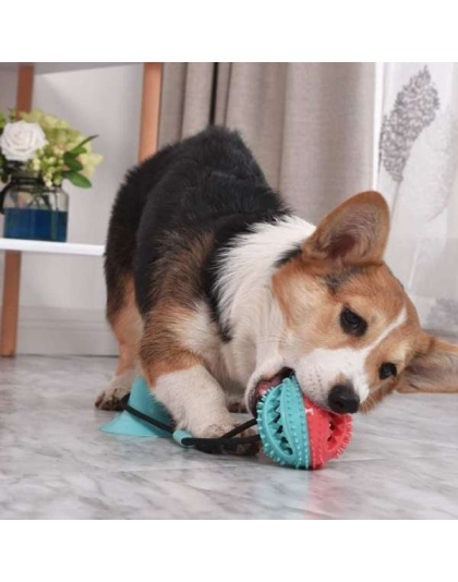 Blue - Treat Dispensing Dog Pull Toy
