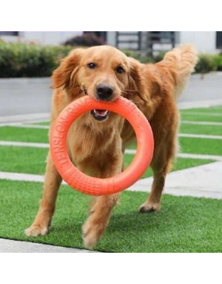 Orange - Dog Ring Toy