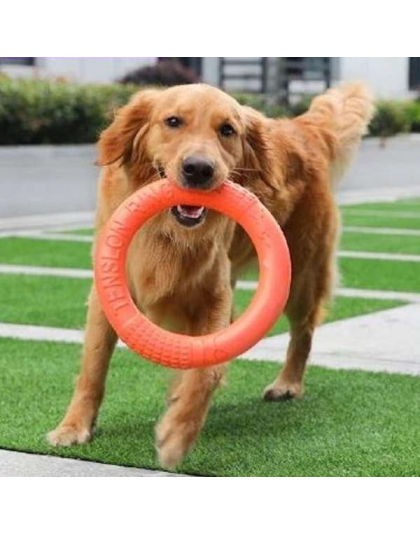 Orange - Dog Ring Toy