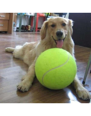 Jumbo Tennis Ball