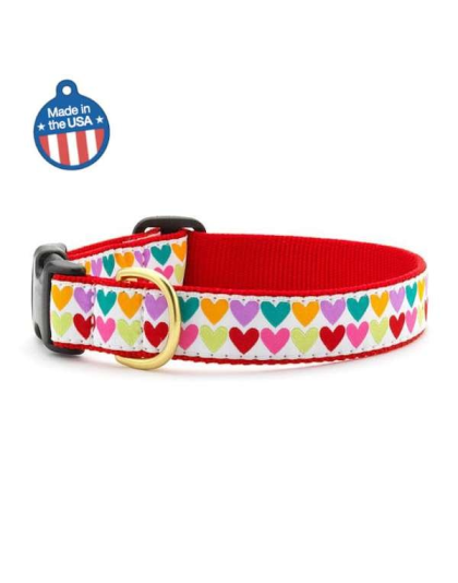 Pop Hearts - Pop Hearts Collar or Leash - Small Wide