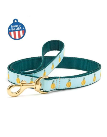 Pineapple - Pineapple Collar or Leash - 4' Narrow