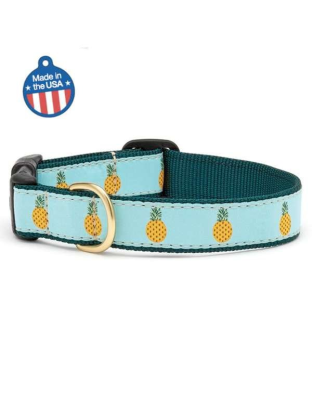 Pineapple - Pineapple Collar or Leash - Medium