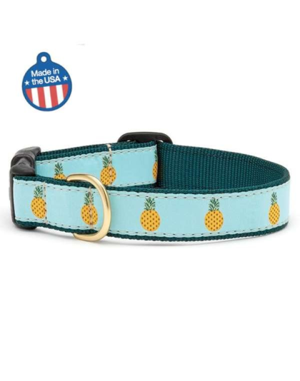 Pineapple - Pineapple Collar or Leash - Medium