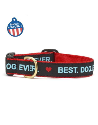 Best Dog Ever - Best Dog Ever Collar or Leash - 4' Narrow