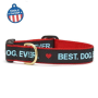 Best Dog Ever - Best Dog Ever Collar or Leash - 4' Narrow