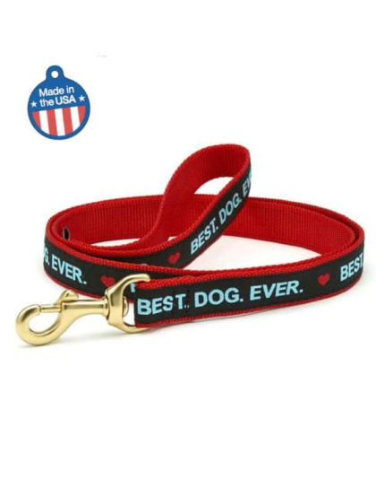 Best Dog Ever - Best Dog Ever Collar or Leash - 4' Narrow