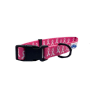 Breast Cancer Awareness Pink - Cutie Ties Fun Design Dog Collar - Medium