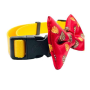 Nuggest & Fries - Cutie Ties Dog Bow Tie - One Size